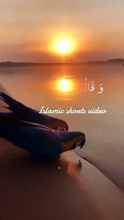 Islamic shorts video