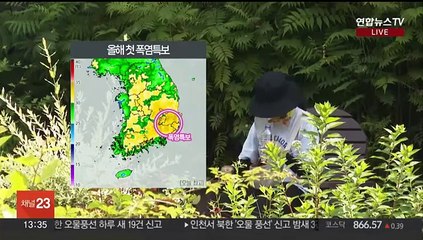 [날씨] 영남 곳곳 올해 첫 폭염특보…동쪽 중심 소나기