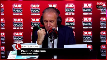 Le prix des fraises est particulièrement bas : pourquoi ?