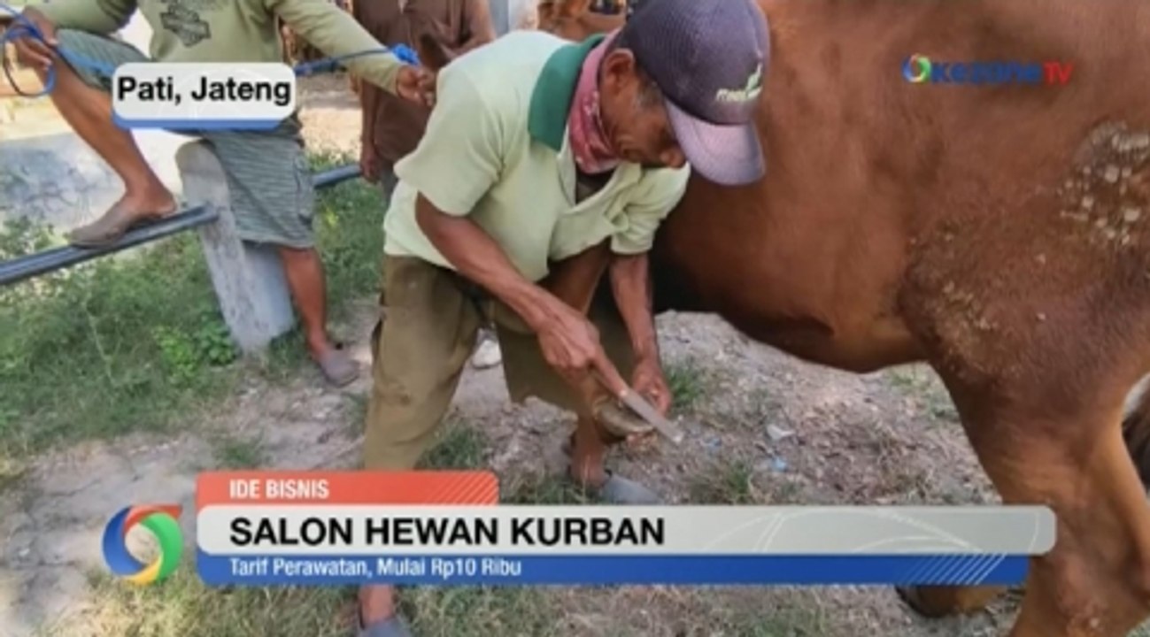 Bikin Ternak Makin 'Glowing', Jasa Salon Sapi di Pasar Wage Pati Laris Manis