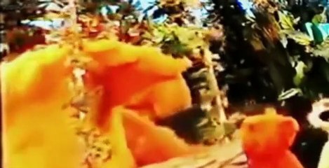 Bear in the Big Blue House Bear in the Big Blue House E022 Nothing to Fear