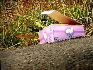 Minuscule Minuscule S01 E001 Ants