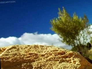 Minuscule Minuscule S02 E009 Rosy