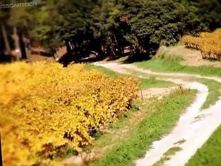 Minuscule Minuscule S02 E023 Insect High Velocity