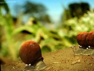 Minuscule Minuscule S03 E001 On Your Mark, Get Set, Go!