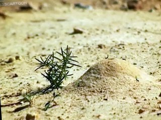 Minuscule Minuscule S03 E004 Infernal Anthill