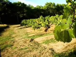 Minuscule Minuscule S03 E015 The Zzzzz Patrol