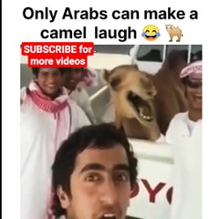 Arab fun