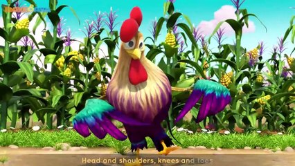 Learning Video Collection for Kids Educational Videos and Nursery Rhymes from Dave and Ava