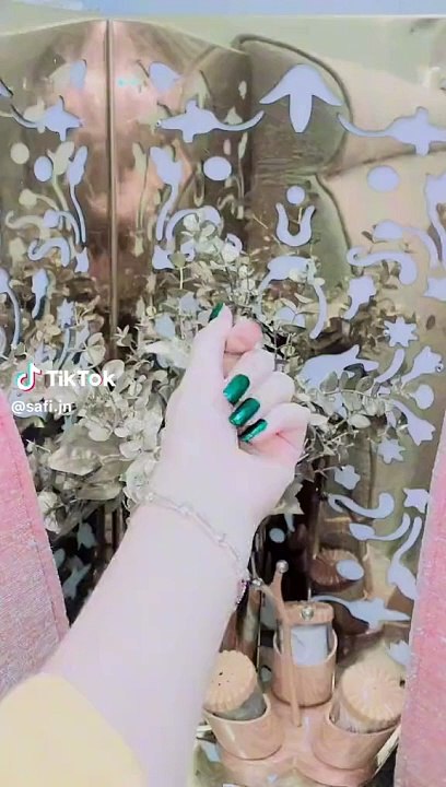 Song/tiktok