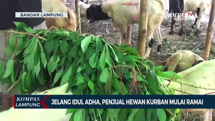 Jelang Idul Adha, Penjual Hewan Kurban Mulai Ramai