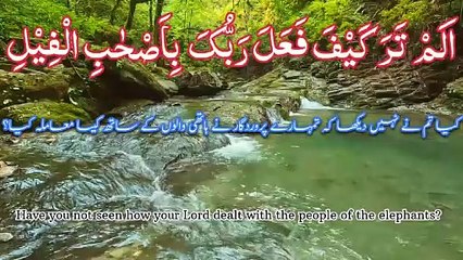 Surah feel Urdu and English translation
