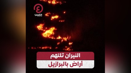 النيران تلتهم أراض بالبرازيل