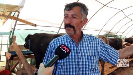 Bayram öncesi kurban pazarlığı