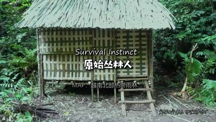 Compétences de survie en forêt tropicale, vous devez apprendre à stocker le bois, le noyau des bananiers affamés...