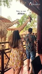 Beauty of Phu Quoc, Vietnam | AeronFly | Make Your Safar Suhana