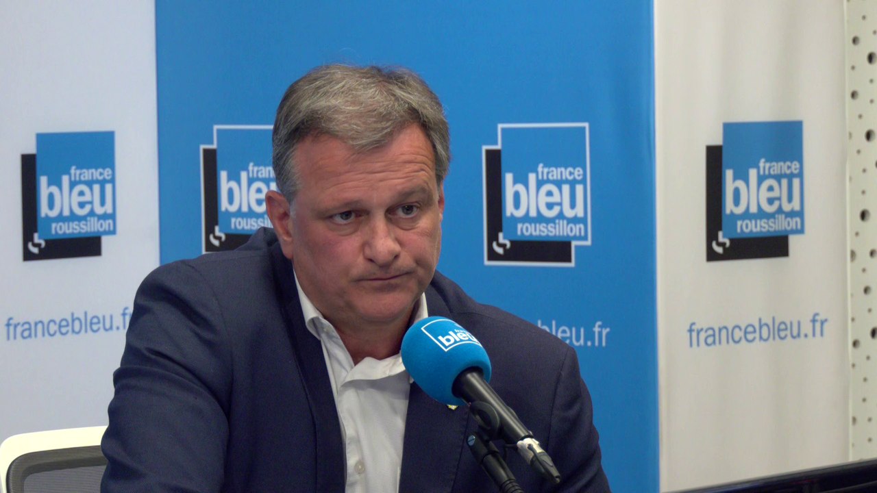 "C'était la dissolution ou la démission", selon Louis Aliot après l'annonce de la dissolution de l'Assemblée nationale