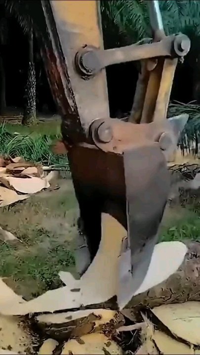 Des phénomènes étranges dont tu n'as jamais entendu parler (60) ‍♂️