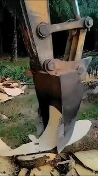 Des phénomènes étranges dont tu n'as jamais entendu parler (60) ‍♂️