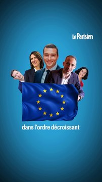 Élections européennes 2024 : voici les résultats définitifs du scrutin en France