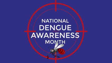 National Dengue Awareness Month