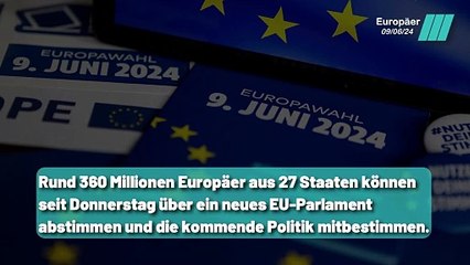 Die EU: Eine Black Box oder entscheidender Einflussfaktor ?