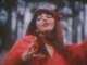 Kate Bush - Wuthering heights