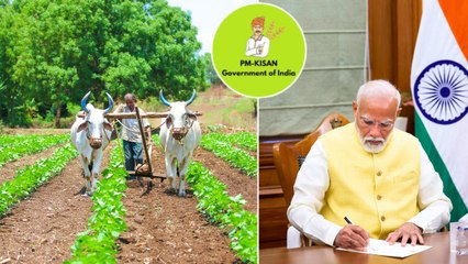 PM बनते ही नरेंद्र मोदी ने दिया किसानों को तोहफा, PM किसान सम्मान निधि की 17वीं किस्‍त जारी की