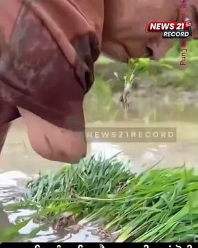 محنت کیلئے ھمت کی ضرورت ھوتی ھے