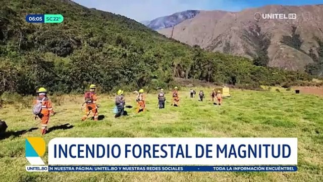 Incendio forestal afectó a al menos cuatro comunidades del municipio de Independencia