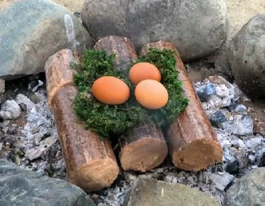 Easy and delicious outdoor meals ideas!