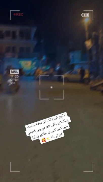 Cow ka pyar