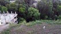 drone video DJI Mavic Mini