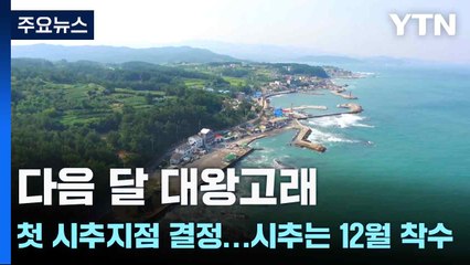 다음 달 대왕고래 첫 시추지점 결정...시추는 12월 착수 / YTN
