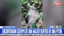 Tremendo: encontraron el cuerpo de una mujer adentro de una pitón gigante