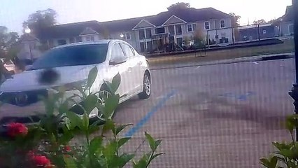 I'm doing a early second routine video this morning