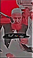 Bivi agar zid kary
