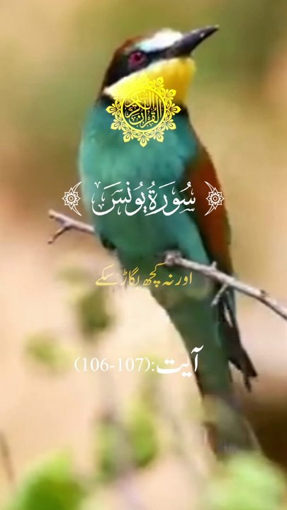 Surah Yunus Beautiful Tarjuma ❤️❤️❤️#quran #islamic #short