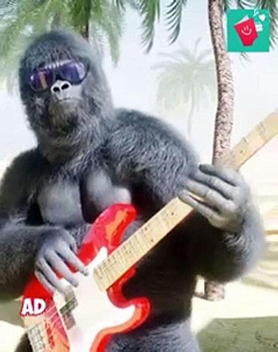 monkey singing