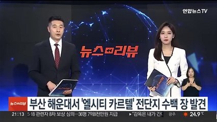 부산 해운대서 '엘시티 카르텔' 전단지 수백 장 발견