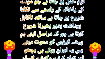 Qabar mein murde ka Haal | The state of the dead in the grave | muzmil 215 voice