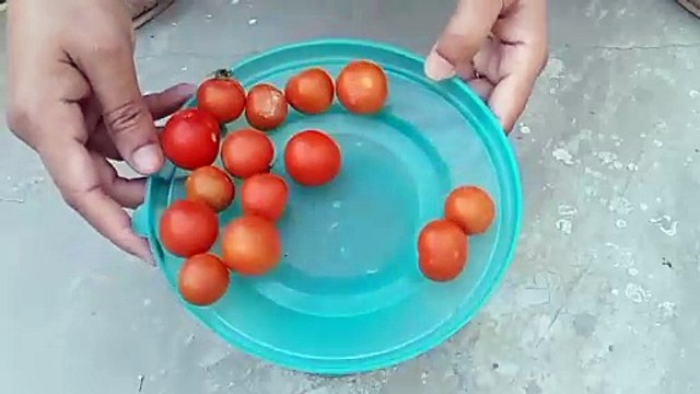 How ti grow tomatos
