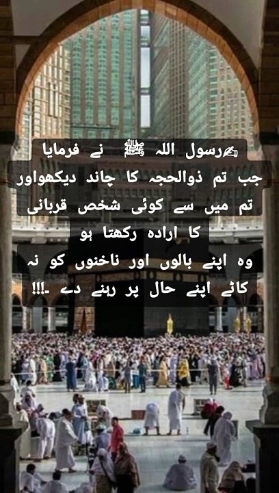 Mon of hajj
