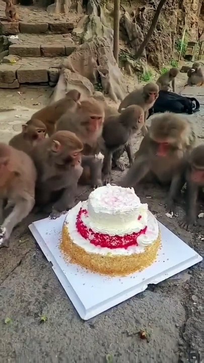 Happy birthday to you