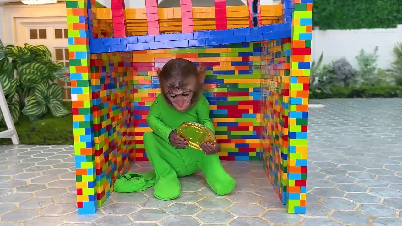 Monkey Baby Bon Bon goes shark fishing and eats watermelon and ducklings in the garden