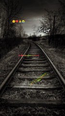 Deep lines with trending song