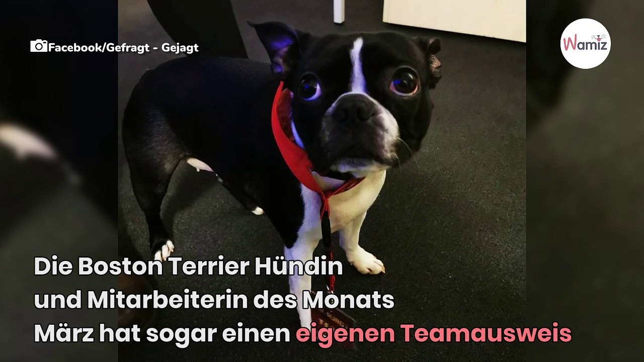 Sebastian Klussmann: Freundin hinter den Kulissen von „Gefragt Gejagt'