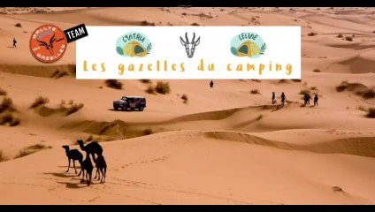 Les gazelles du camping