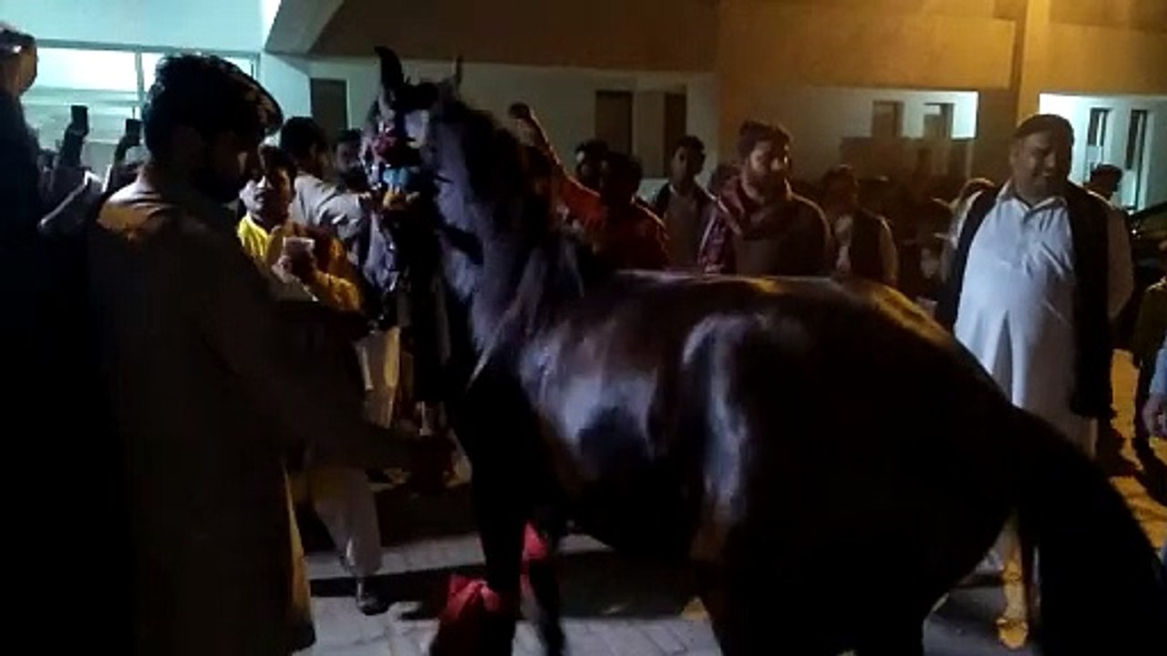 Black horse dance #shorts #viral #trending #foryou #tiktok #delicious #gaming #reels#dailymotion #France #Pakistan #Algeria #India #USA #Iran #entertainment #tour #fun