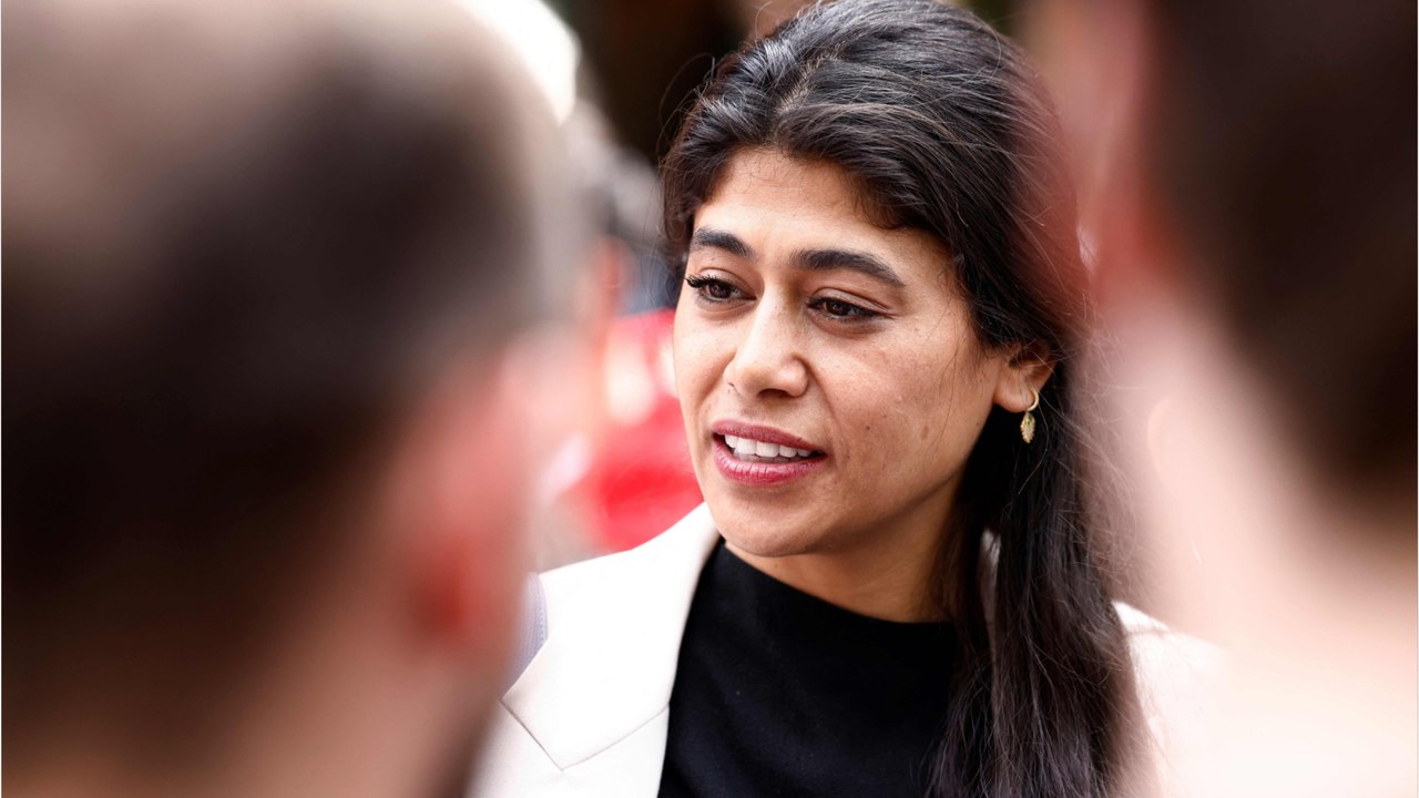 Qui est Rima Hassan, première députée Palestinienne élue au Parlement européen ?